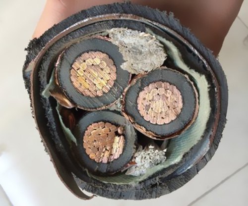 我國電纜工業(yè)已構(gòu)成類別較完全、規(guī)劃較大